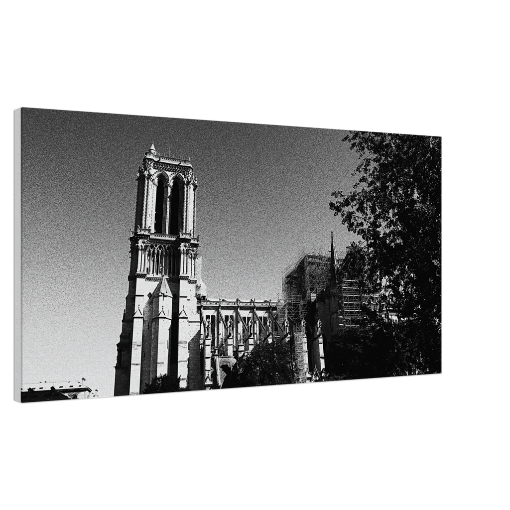 c5031619-c5ef-4efc-8b0c-412ffcfed730