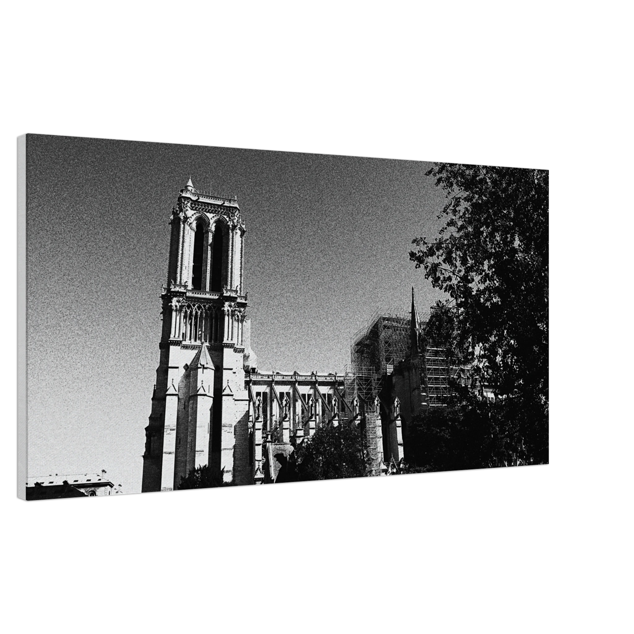 c5031619-c5ef-4efc-8b0c-412ffcfed730